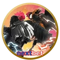 nextbet